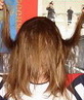 polenadisto: hairs polenadisto: (hairs)