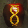 aikea_guinea: (Ego Likeness - Serpent Apple)