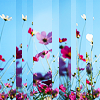 25lively: stock image of various flowers (stock: flowers)