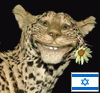 barsa_carta: (Default) barsa_carta: (Default)