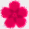 phlox: Bright pink phlox-shaped flower (Default)