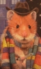 thnidu: Tom Baker's Dr. Who, as an anthropomorphic hamster, in front of the Tardis. ©C.T.D'Alessio http://tinyurl.com/9q2gkko (Dr. Whomster)