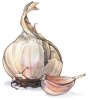 cellio: garlic cellio: (garlic)