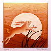 peripety: (hare and moon)