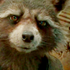 ROCKET RACCOON