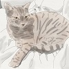 ironed_orchid: watercolour and pen style sketch of a brown tabby cat curl up with her head looking up at the viewer and her front paw stretched out on the left (Default)