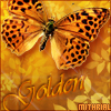 butterflygold