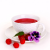 reeby10: a white teacup with red liquid inside, red berries and purple flowers on the saucer, and a white background (food)
