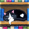 mecurtin: drawing of black and white cat on bookshelf (cat on books)
