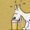 ioplokon: Milou, from Tintin drinks a beer (milou)