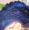 talia_et_alia: Photo of my short blue hair. (Default)