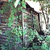 sharpest_asp: Old house in the woods (Scenic: Old House)
