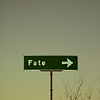 elaran: signpost of fate (confused!dinozzo)