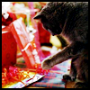 holiday_wishes: Kitty (Holiday wishes)