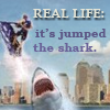 galateus: Real Life: it's jumped the shark. (jupm the shark)