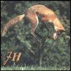 justhuman: Fox leaping vertically to snag a snack (foxhunt)