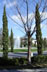 onyxlynx: Some trees and a fountain at a cemetery (A Fine and Private Place)