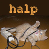 mecurtin: halp kitteh tangled in wires (tangled)