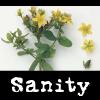 azurelunatic: "Sanity" St. John's Wort flower.  (sanity)